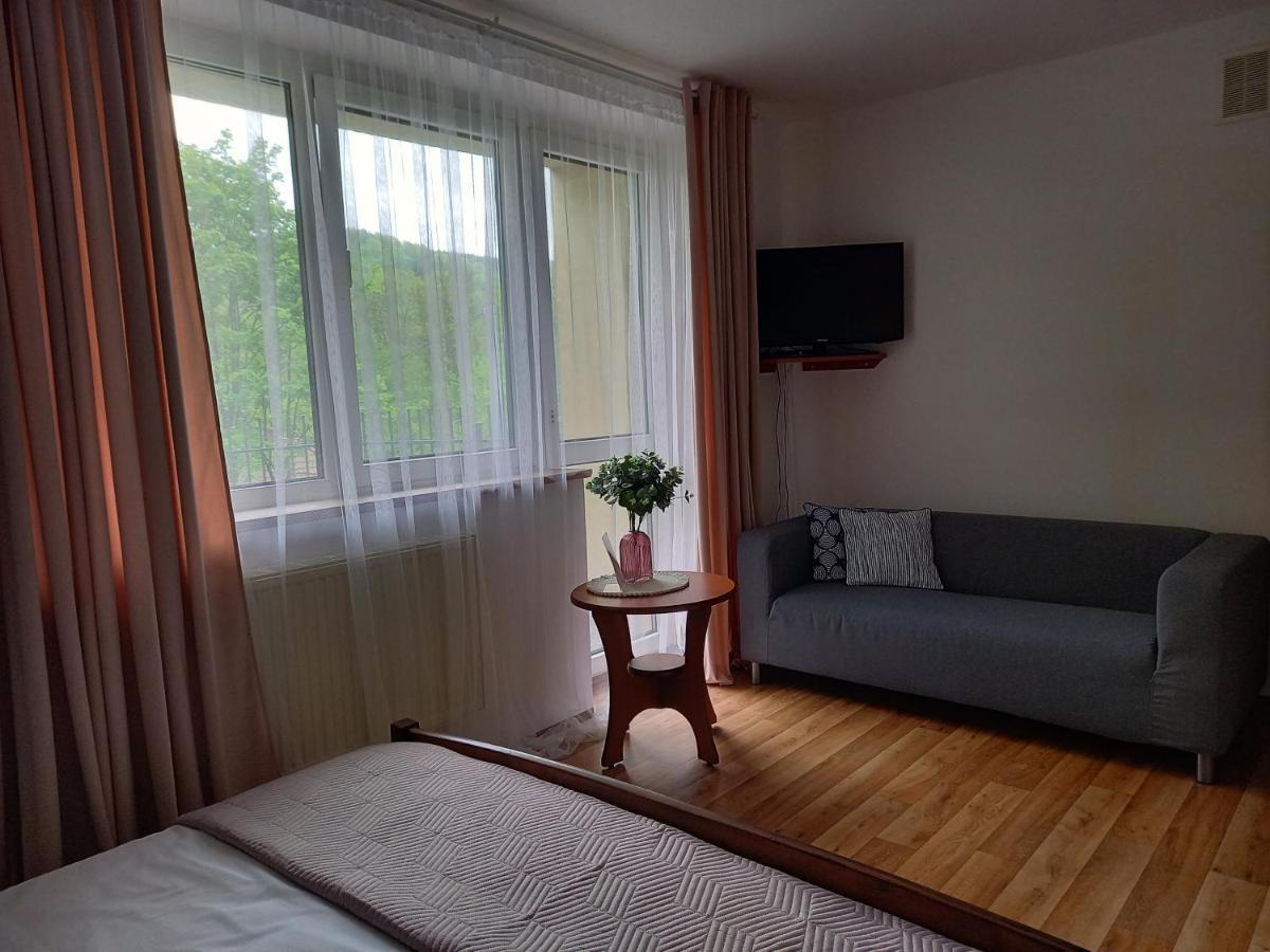 Pieszyce Apartamenty Agat מראה חיצוני תמונה